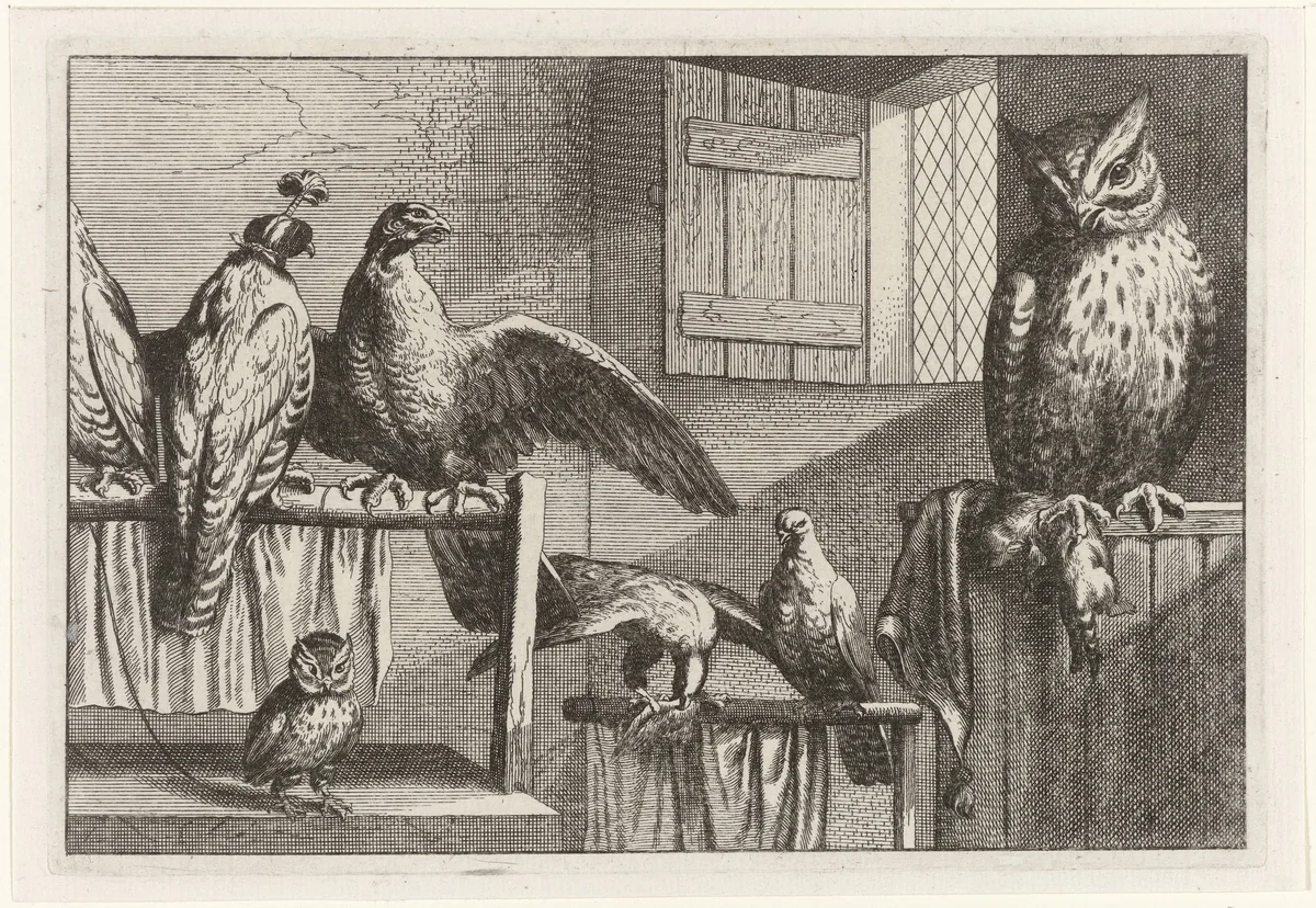 Titelblad Diversae Avium Species by Francis Barlow, print, 1654-1662