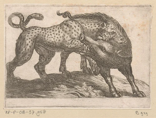 Een luipaard vechtend met een everzwijn by Antonio Tempesta, print, 1600