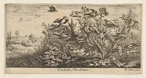Carduëlis, Chardonnet (The Goldfinch), from "Livre d'Oyseaux" (Book of Birds) by Albert Flamen, print, 1650-1665