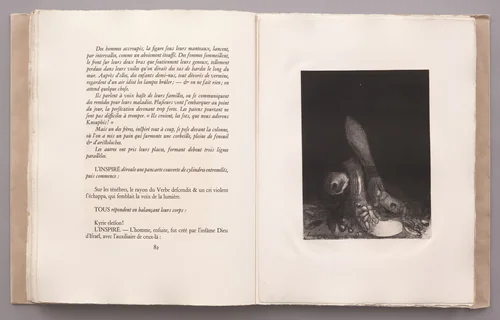 Flowers Fall, and the Head of a Python Appears (Des fleurs tombent, et la tête d'un python paraît) (plate VI) from La Tentation de Saint-Antoine by Odilon Redon, illustrated book, 1896