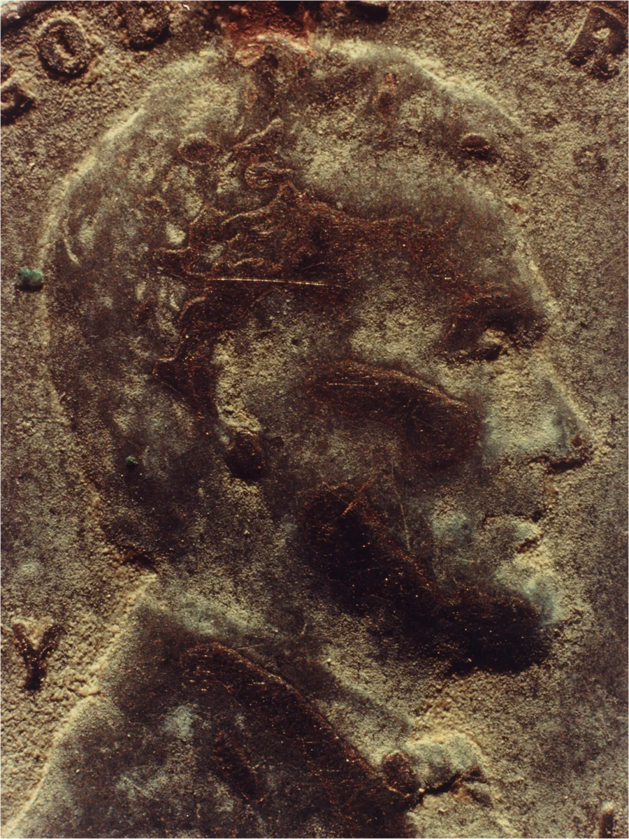 Copperhead #32 by Moyra Davey, photograph, 1990