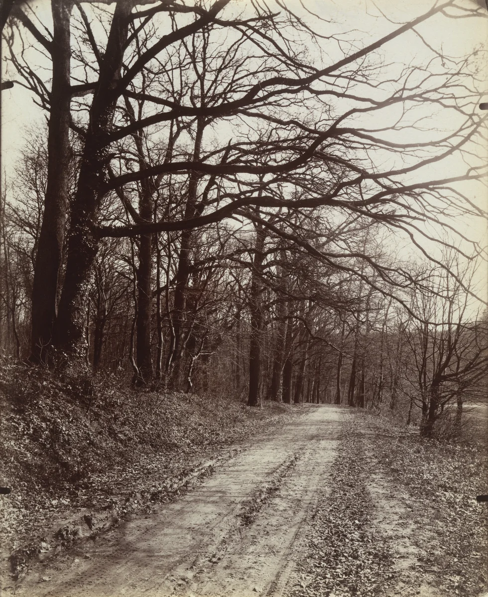 Saint-Cloud by Eugène Atget, photograph, 1923