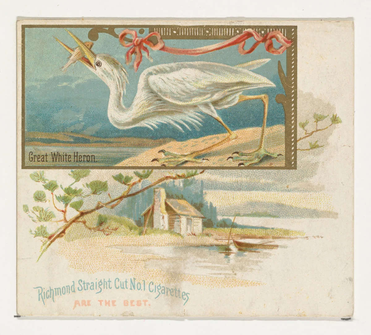 Great White Heron, from the Game Birds series (N40) for Allen & Ginter Cigarettes by Allen & Ginter, print, 1888-1890