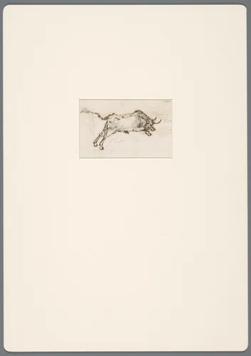 Stier in galop in de aanval by David de Sandoz-Rollin, drawing, 1750-1809