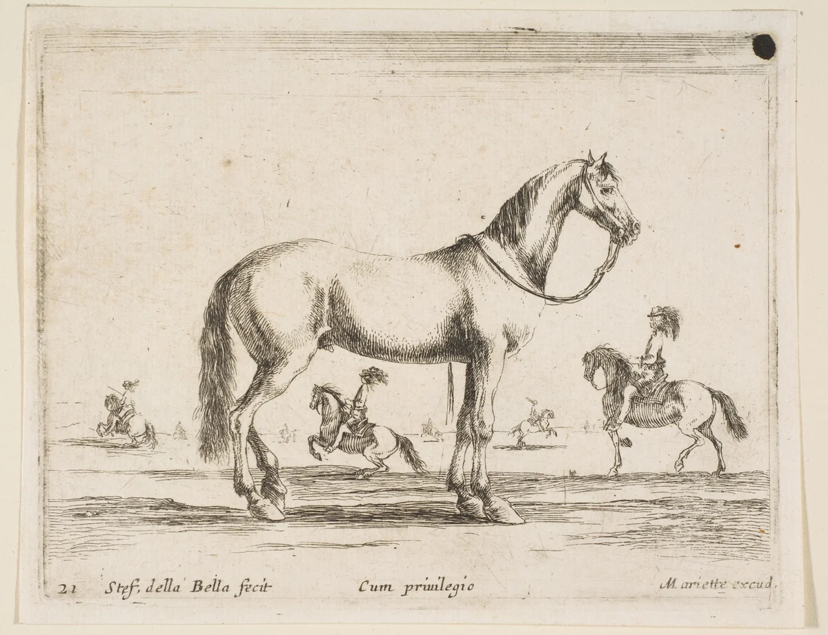 Horse, plate 21 from "Various Animals" (Diversi Animali) by Stefano della Bella, print, 1641