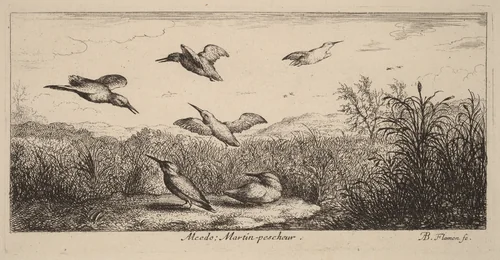 Alcedo, The Kingfisher by Albert Flamen, print, 1620-1669