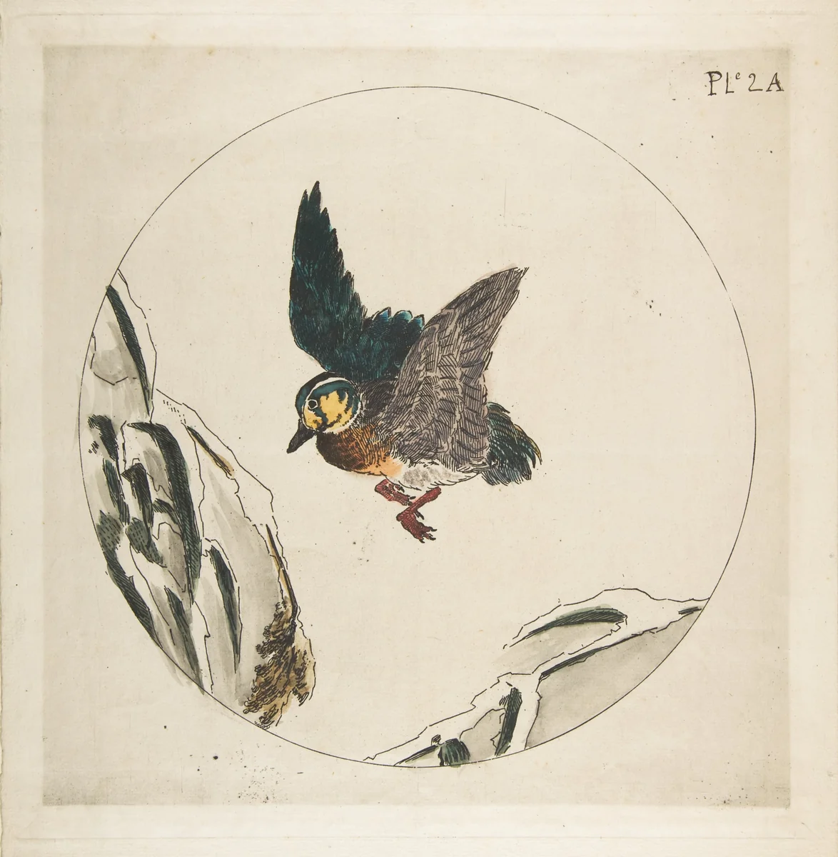 Decoration for a Plate: A Duck flying over Snow-covered Branches by Félix Bracquemond, print, 1850-1914