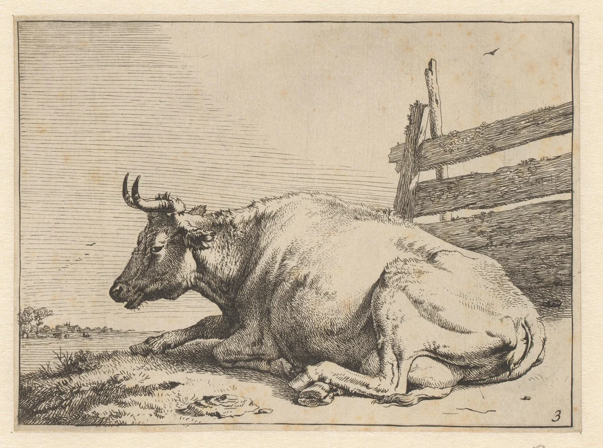 Liggende koe bij een hek by Paulus Potter, print, 1650