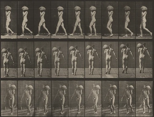 Plate Number 26. Walking, carrying a 75-lb. stone on left shoulder by Eadweard Muybridge, photograph, 1887