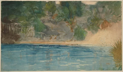 Blue Spring, Florida by Winslow Homer, drawing, 1890