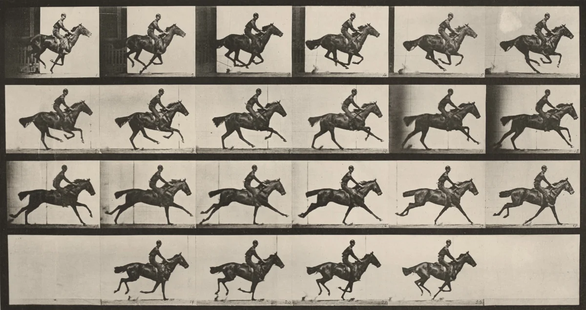 Plate Number 625. "Bouquet" galloping by Eadweard Muybridge, photograph, 1887
