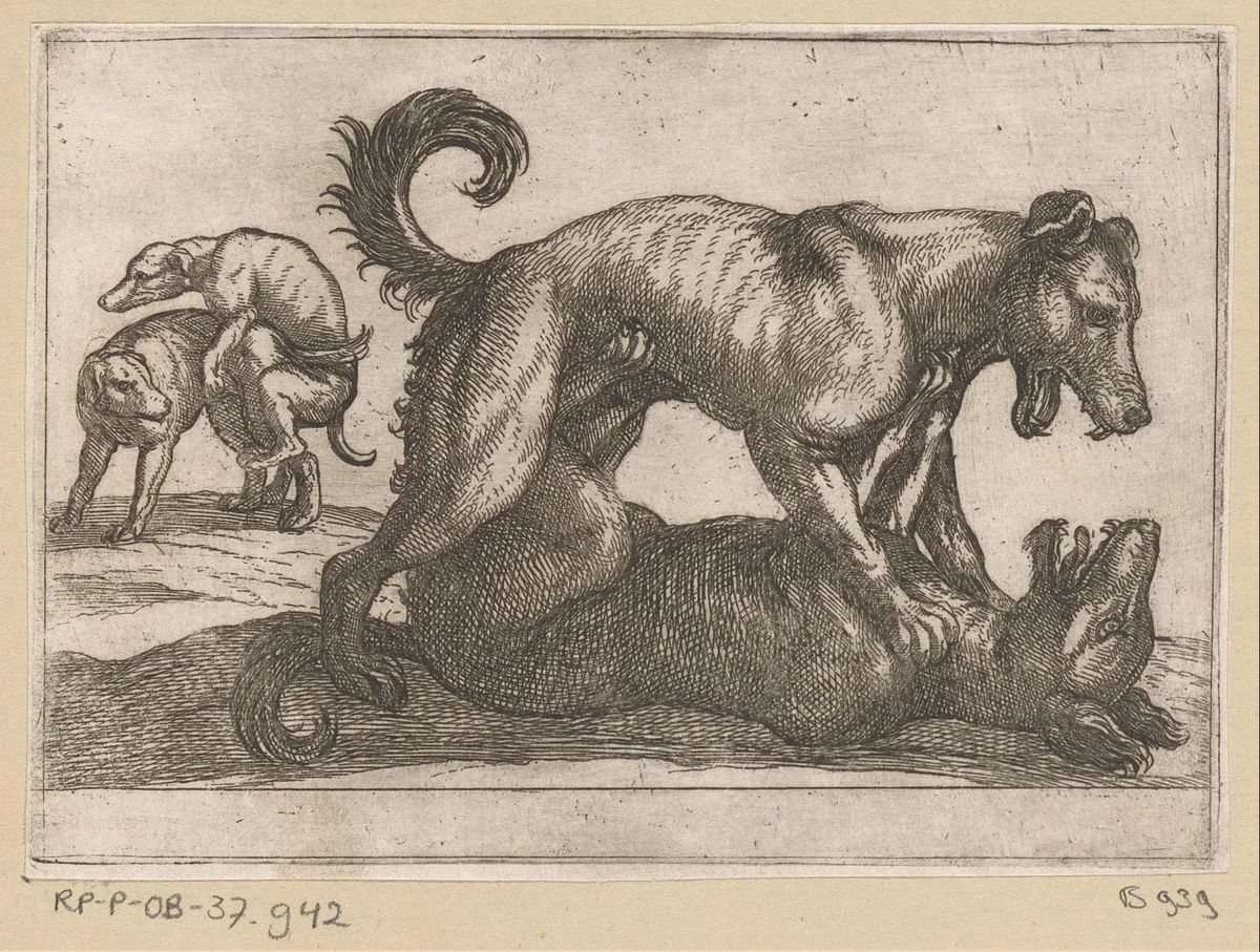 Twee parende en twee vechtende honden by Antonio Tempesta, print, 1600