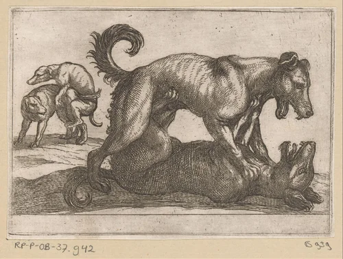 Twee parende en twee vechtende honden by Antonio Tempesta, print, 1600