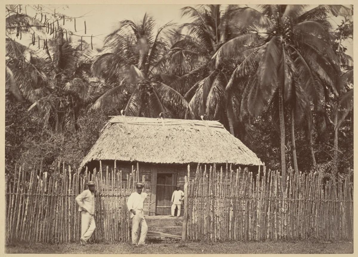 Tropical Scenery, Native Hut, Turbo by John Moran, photograph, 1871