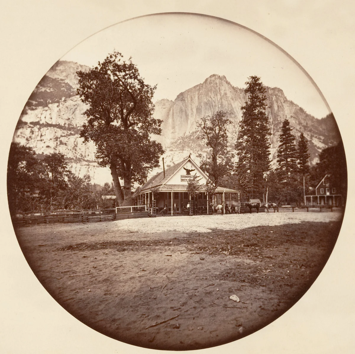 [Yosemite National Park, California] by Carleton E. Watkins, photograph, 1876-1880