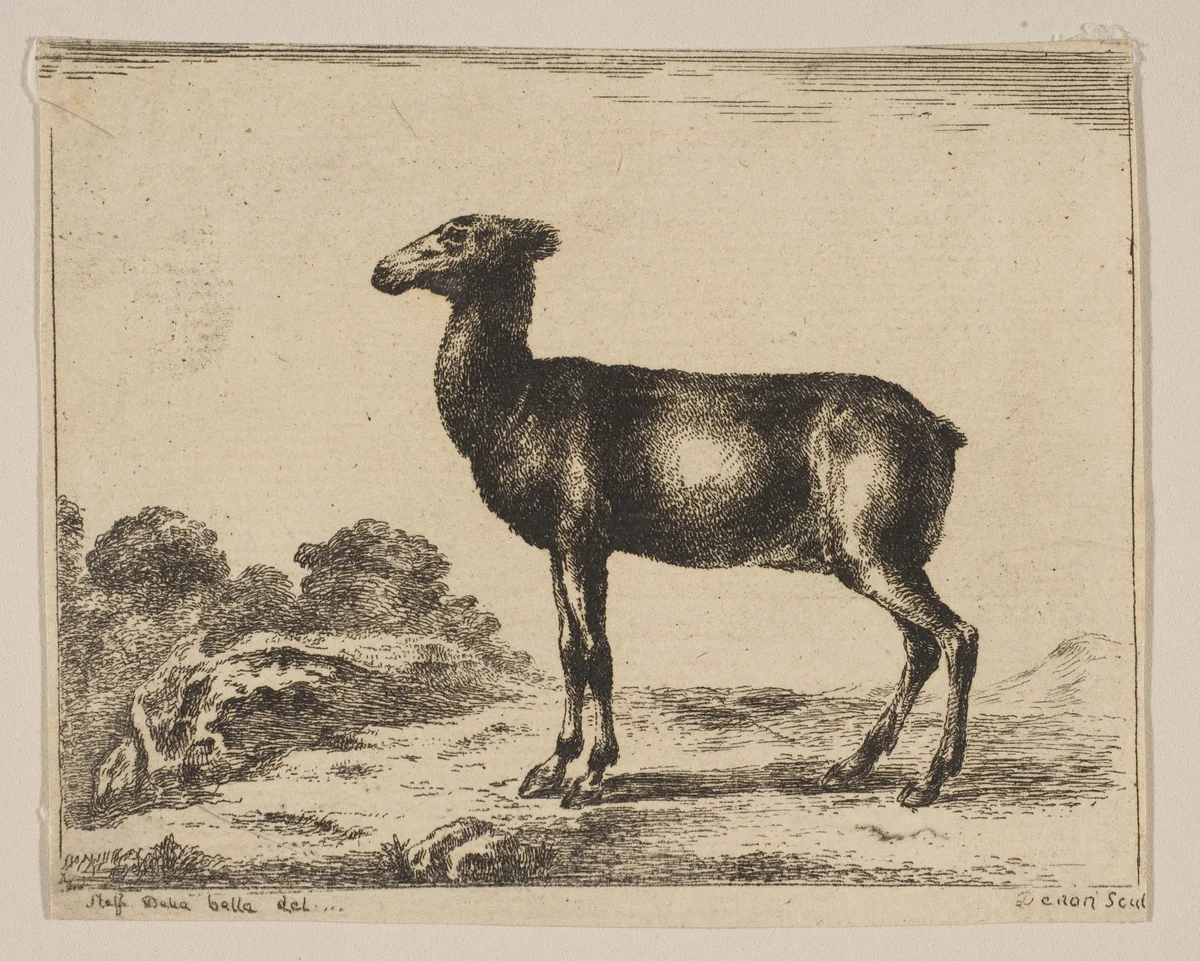 Plate 15: doe, from 'Various animals' (Diversi animali) by anonymous, print, 1641-1660