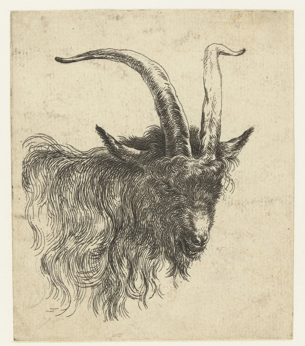 Kop van een geit by Nicolaes Pietersz Berchem, print, 1630-1683