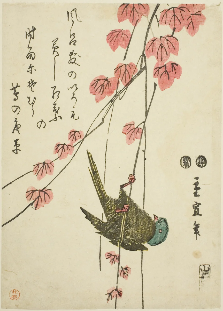 Small bird and ivy by Utagawa Hiroshige II (二代目歌川広重), print, 1838-1852