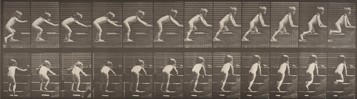 Plate Number 480. Child walking and crawling up stairs by Eadweard Muybridge, photograph, 1887