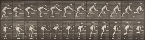 Plate Number 480. Child walking and crawling up stairs by Eadweard Muybridge, photograph, 1887