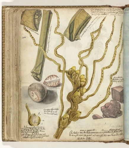 Methodes voor het maken van sirih by Jan Brandes, drawing, 1783