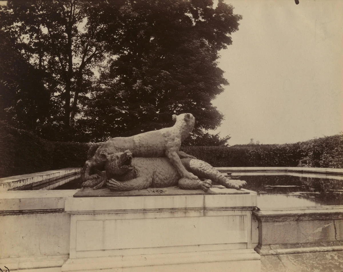 Versailles, Fontaine du Point du Jour, Tigre Terrassant un Ours par Houzeau by Eugène Atget, photograph, 1901