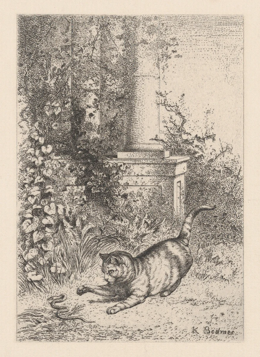 A Domestic Cat Playing with a Garter Snake, from "Eaux-Fortes Animaux & Paysages" by Karl Bodmer, print, 1855-1865