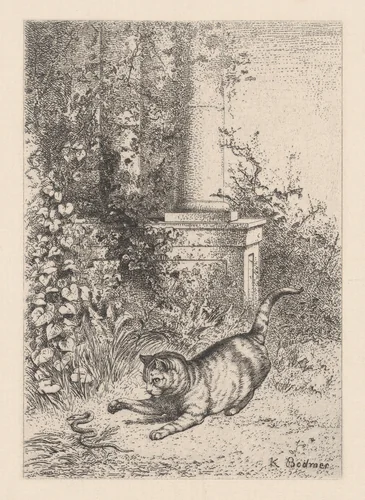 A Domestic Cat Playing with a Garter Snake, from "Eaux-Fortes Animaux & Paysages" by Karl Bodmer, print, 1855-1865