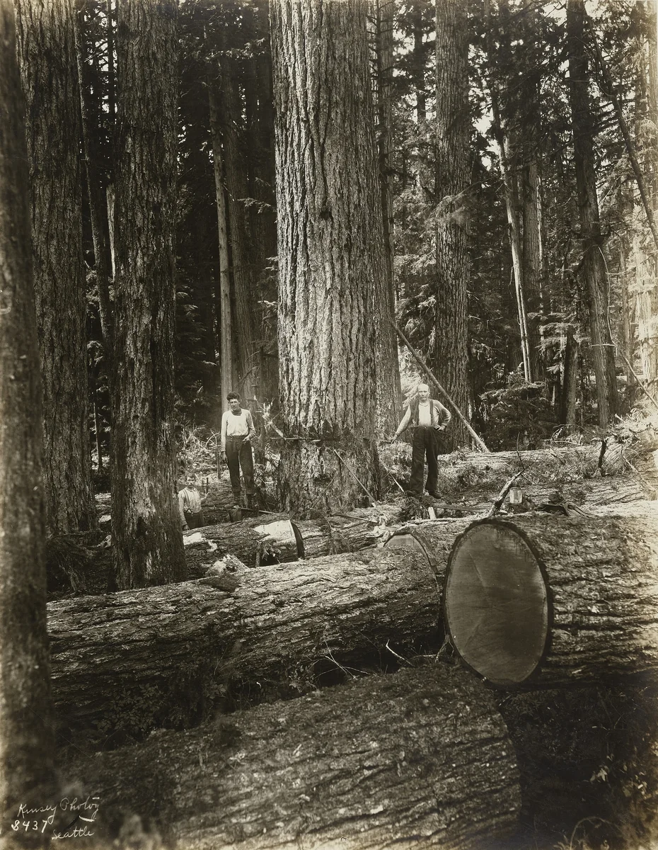 Untitled by Darius Kinsey, photograph, 1910