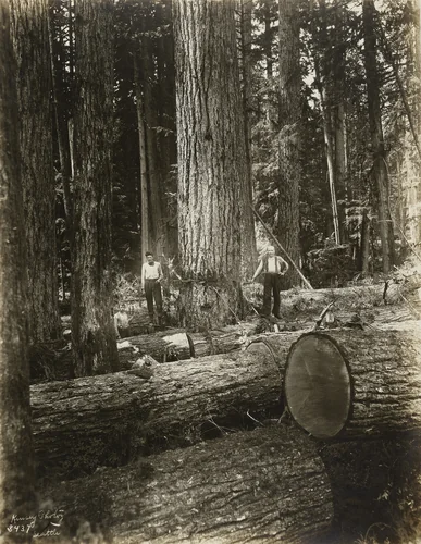 Untitled by Darius Kinsey, photograph, 1910