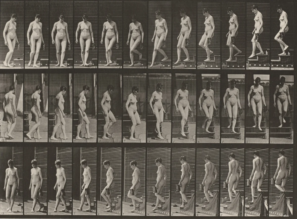 Plate Number 138. Descending stairs and turning with a pitcher in left hand by Eadweard Muybridge, photograph, 1887
