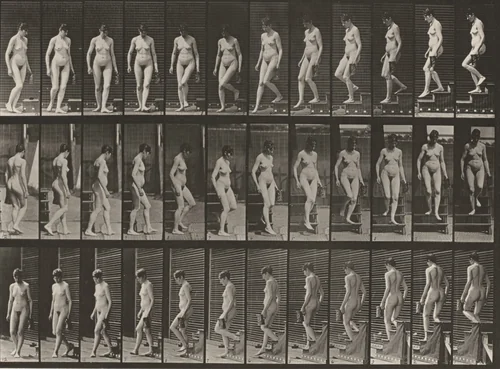 Plate Number 138. Descending stairs and turning with a pitcher in left hand by Eadweard Muybridge, photograph, 1887