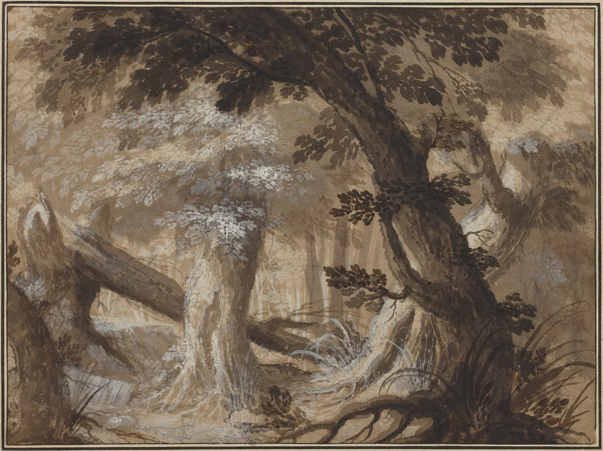 Forest Interior by Flemish 17th century, drawing, 1610