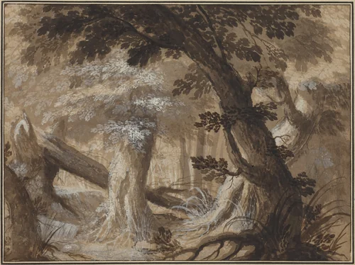 Forest Interior by Flemish 17th century, drawing, 1610