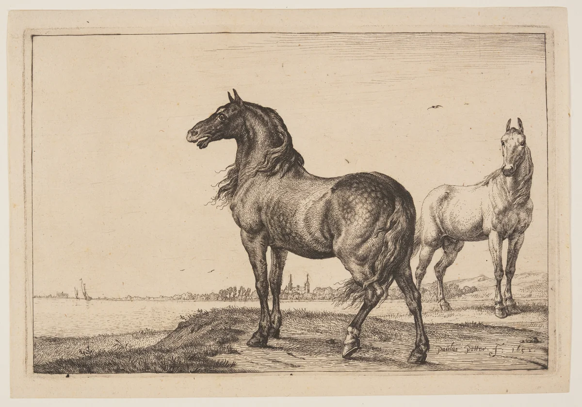 The Cropped Horse, from Series of Horses by Paulus Potter, print, 1652