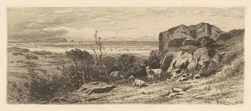 A Bit on Marblehead Neck by James David Smillie, print, 1883