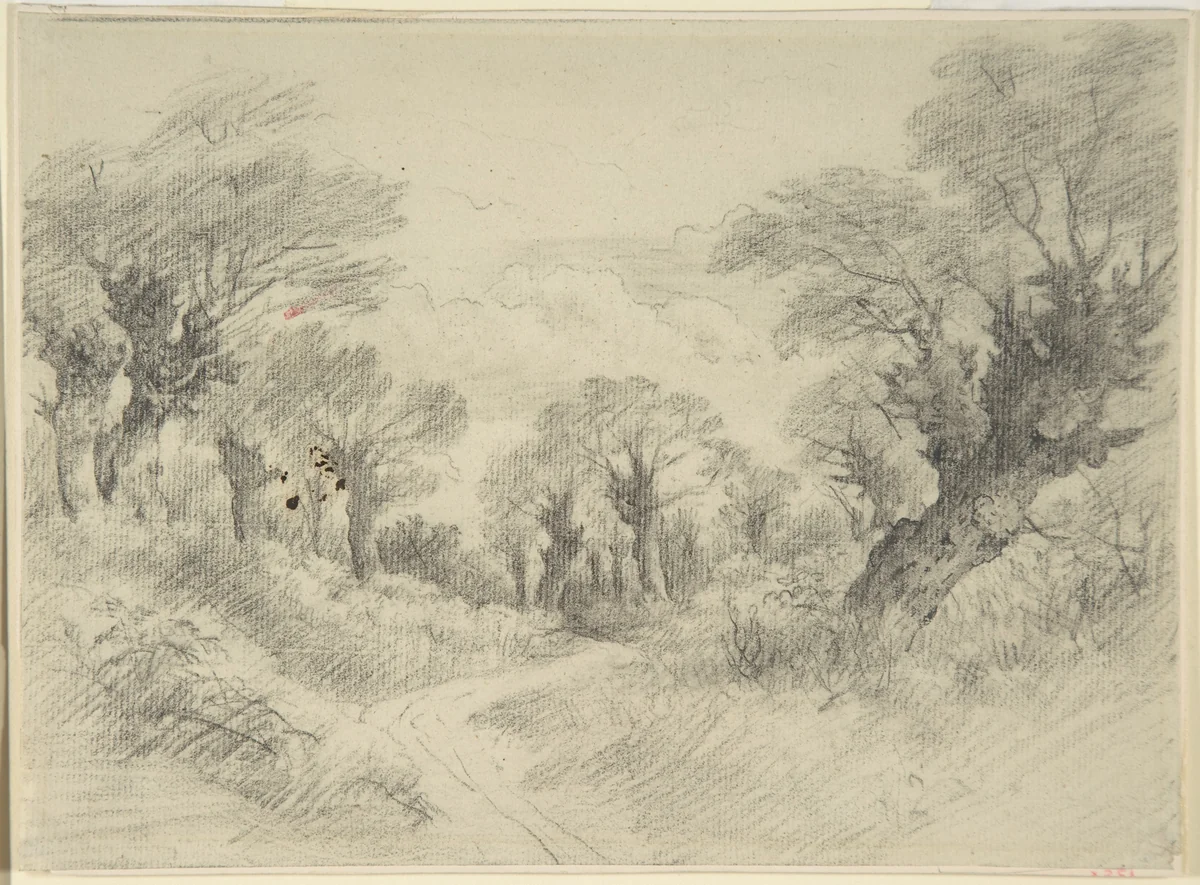 Young pollards by John Constable, drawing, 1796-1806