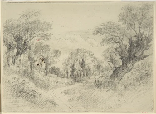 Young pollards by John Constable, drawing, 1796-1806