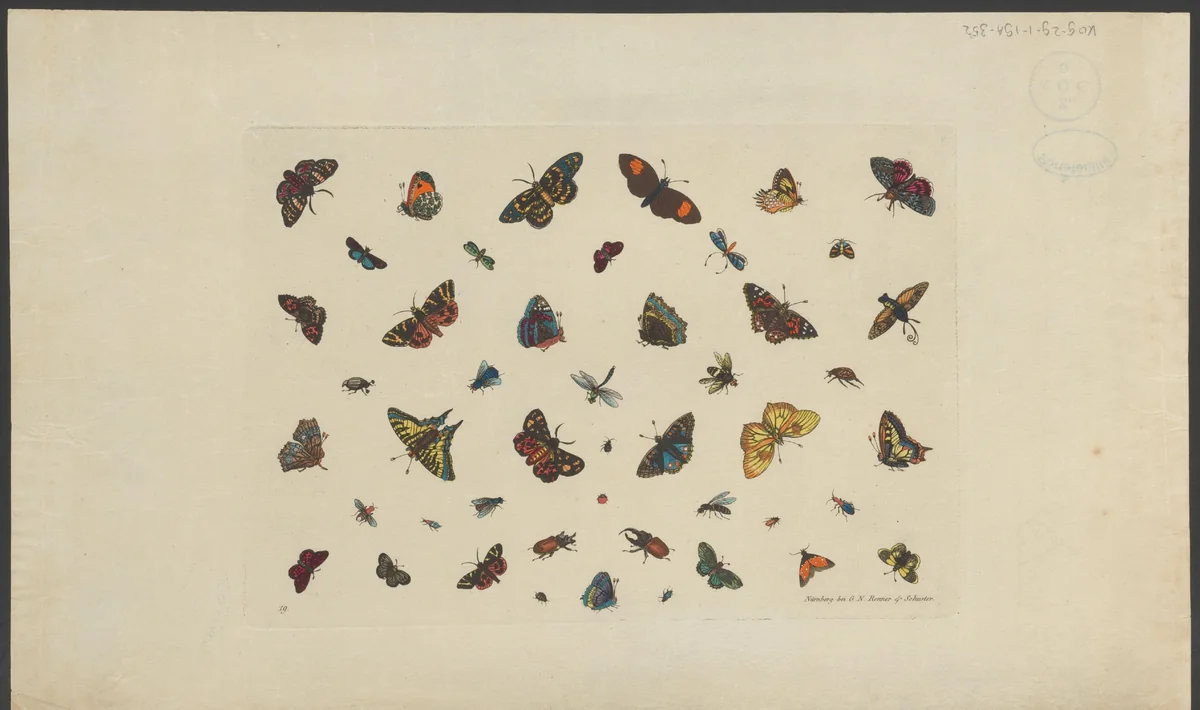 Vlinders en andere insecten by anonymous, print, 1830-1850