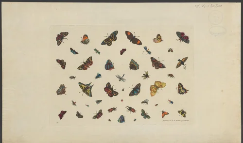 Vlinders en andere insecten by anonymous, print, 1830-1850