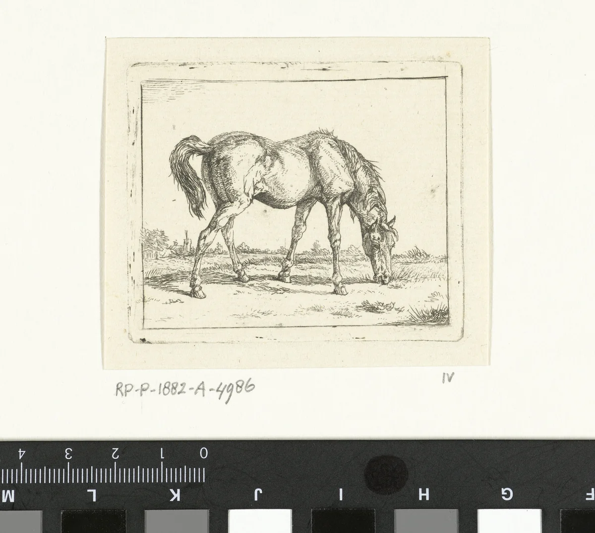 Grazend paard naar rechts by Jan Dasveldt, print, 1780-1855