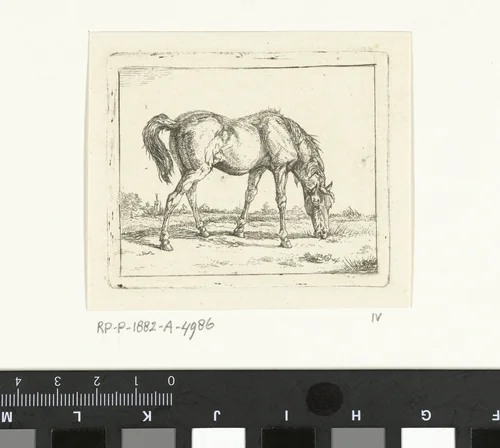 Grazend paard naar rechts by Jan Dasveldt, print, 1780-1855