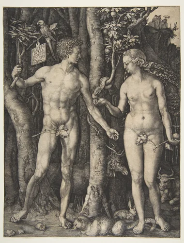 Adam and Eve by Albrecht Dürer, print, 1504