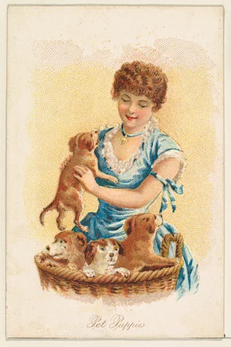 Pet Puppies, from the Household Pets series (N194) issued by Wm. S. Kimball & Co. by William S. Kimball & Company, print, 1891