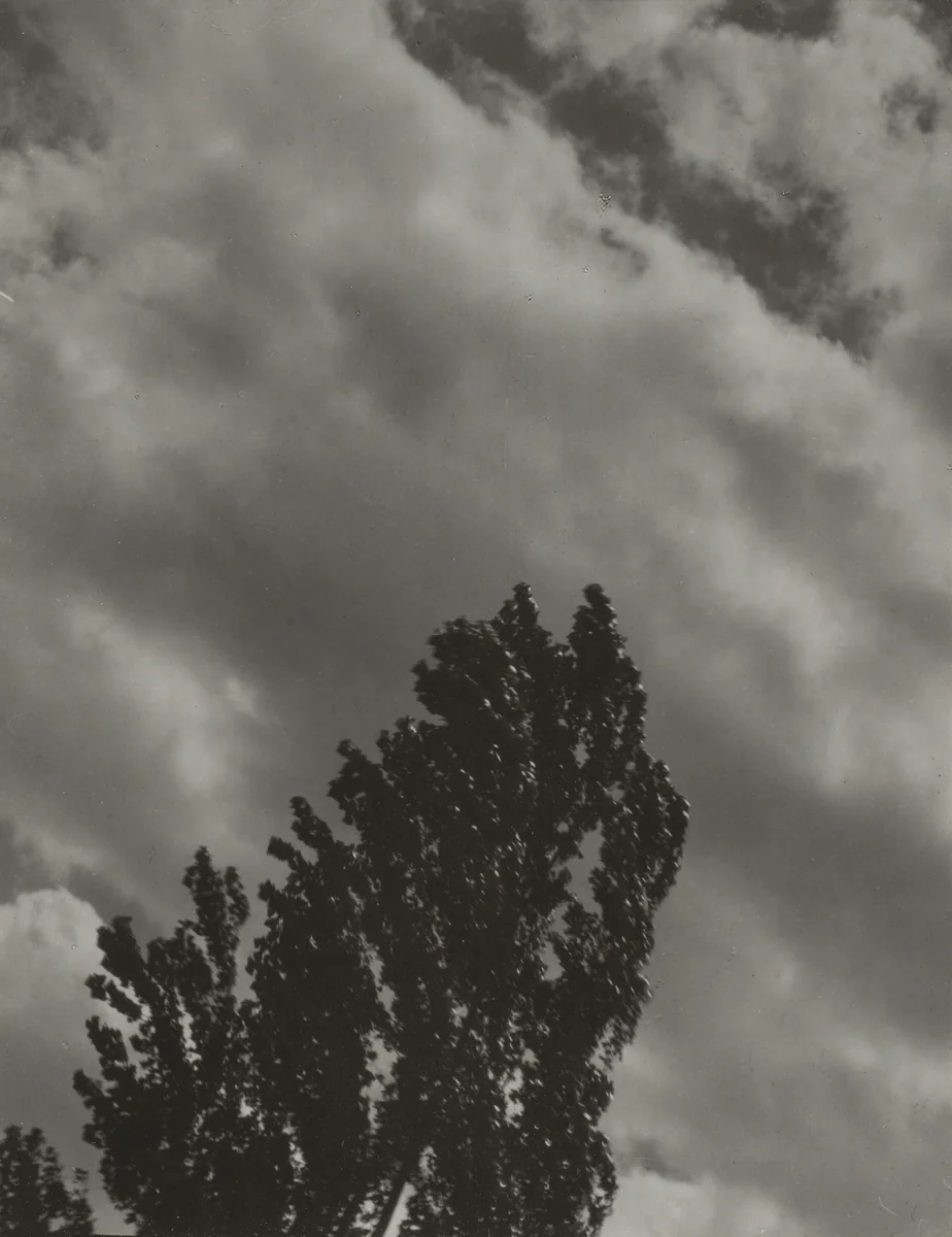 Portrait—K.N.R., No. 1 or Songs of the Sky C1 by Alfred Stieglitz, photograph, 1923