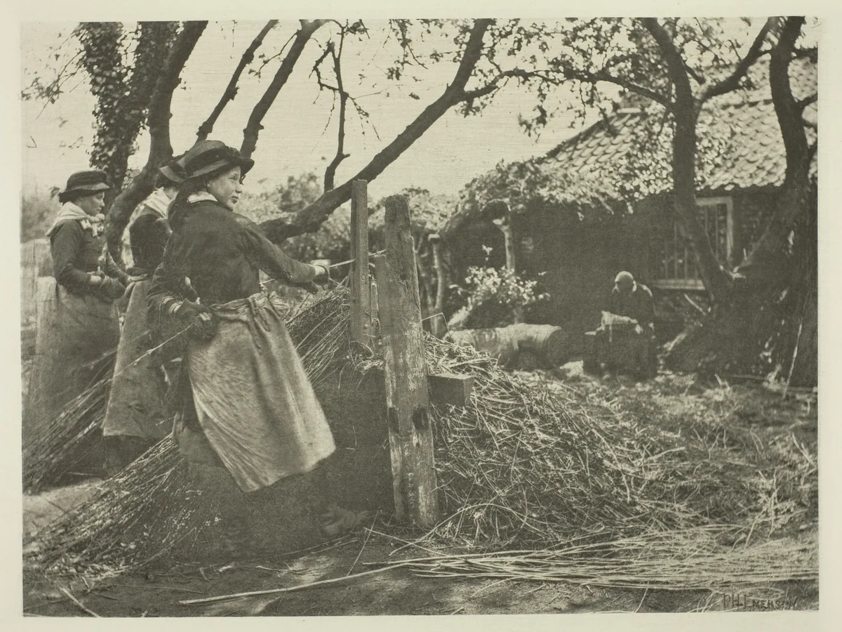 Osier-Peeling (Norfolk) by Peter Henry Emerson, print, 1883-1887