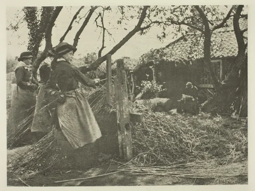 Osier-Peeling (Norfolk) by Peter Henry Emerson, print, 1883-1887