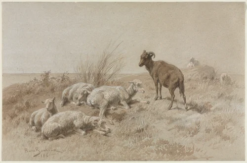 Sheep by Rosa Bonheur, drawing, 1861