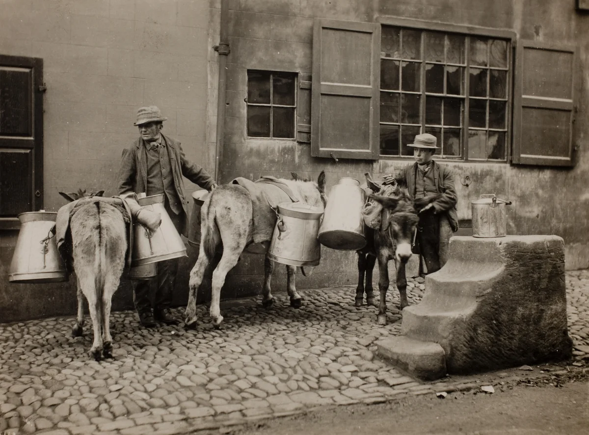 Milk Donkeys by Frank Meadow Sutcliffe, photograph, 1885-1895