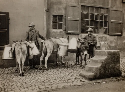 Milk Donkeys by Frank Meadow Sutcliffe, photograph, 1885-1895